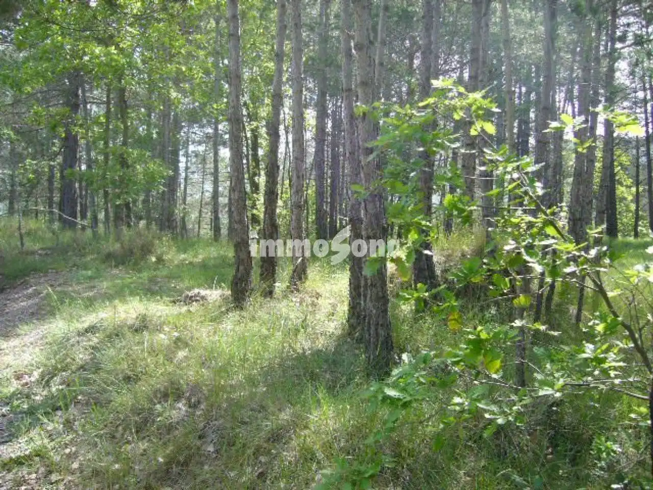 Terreno en venta en Santa Maria d'Oló