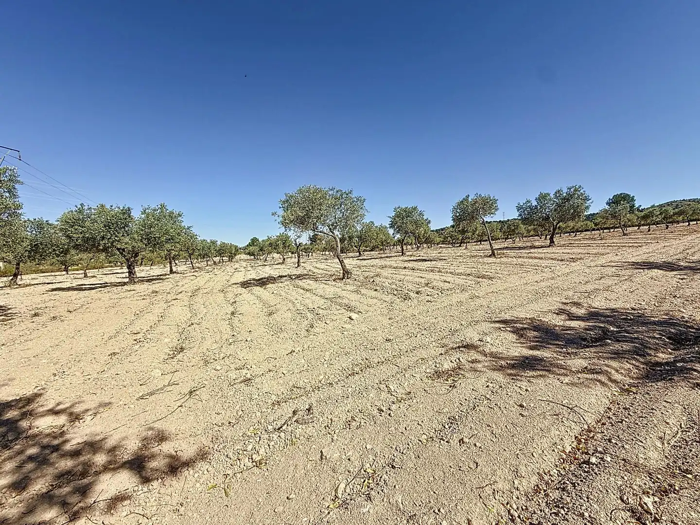 Terreno en venta en Biar