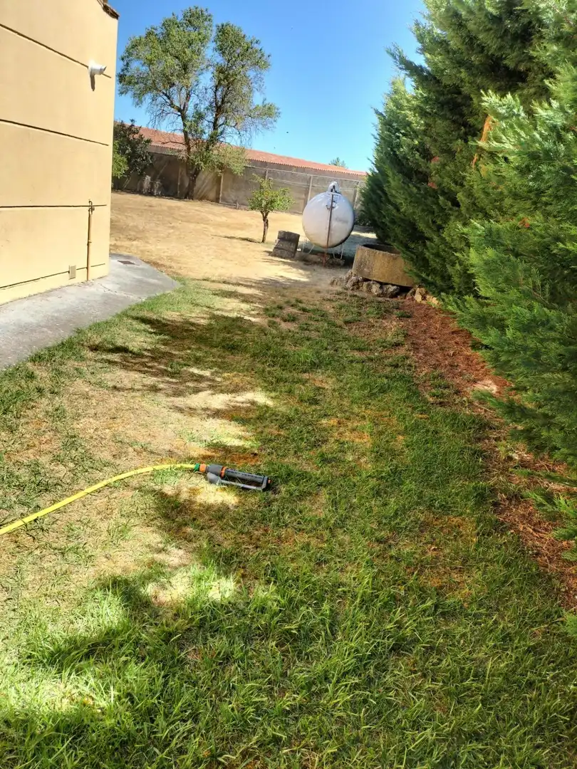 Jardí de Casa o xalet en venda en Melgar de Fernamental amb Calefacció, Jardí privat i Terrassa
