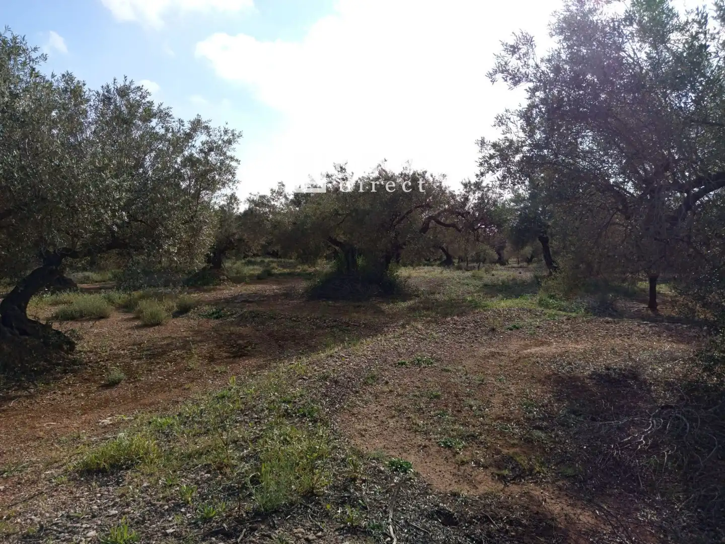 Country house for sale in QJMJ+85J, imagen 13