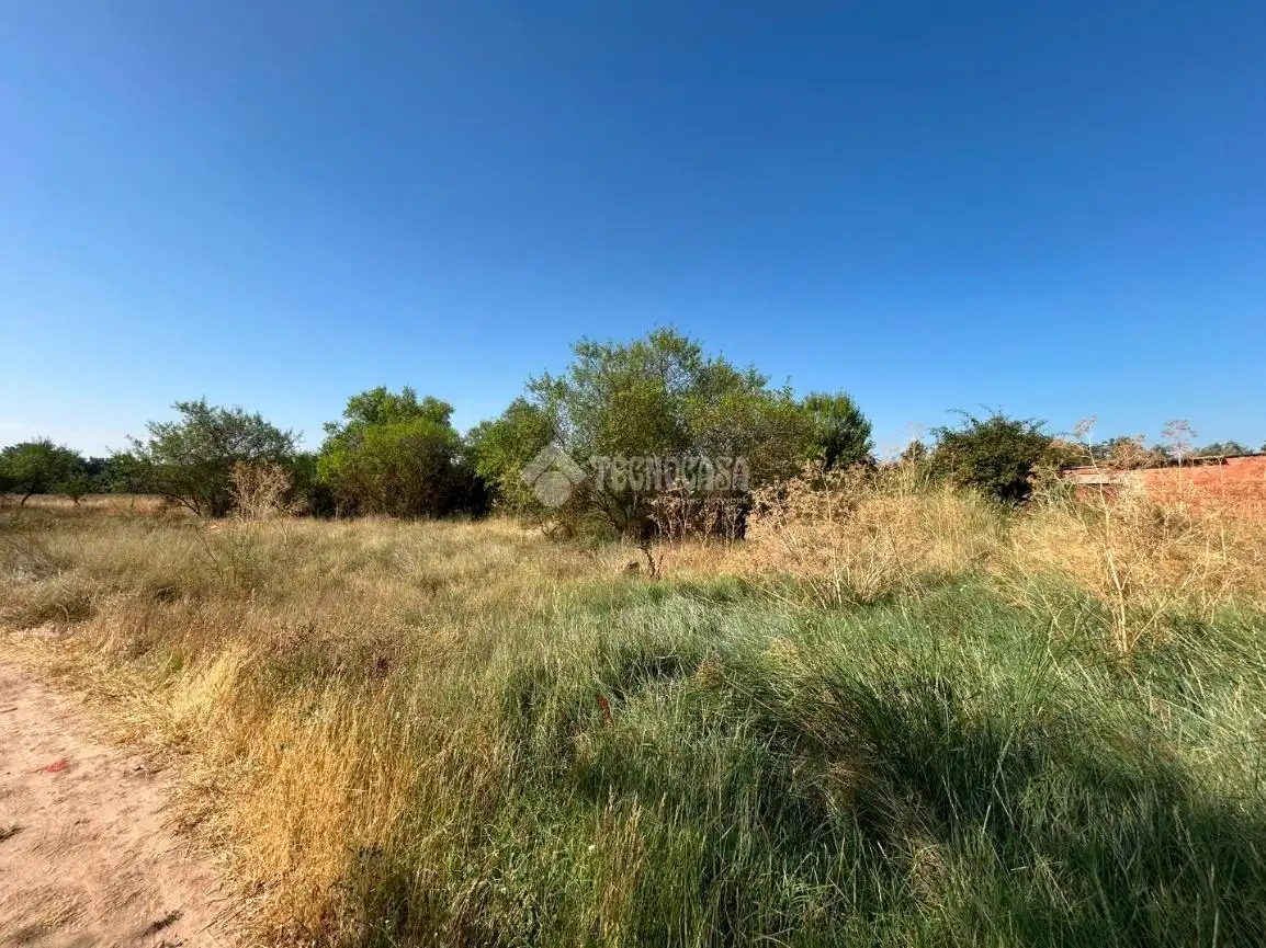 Rural land for sale in Laguna de Duero, imagen 14