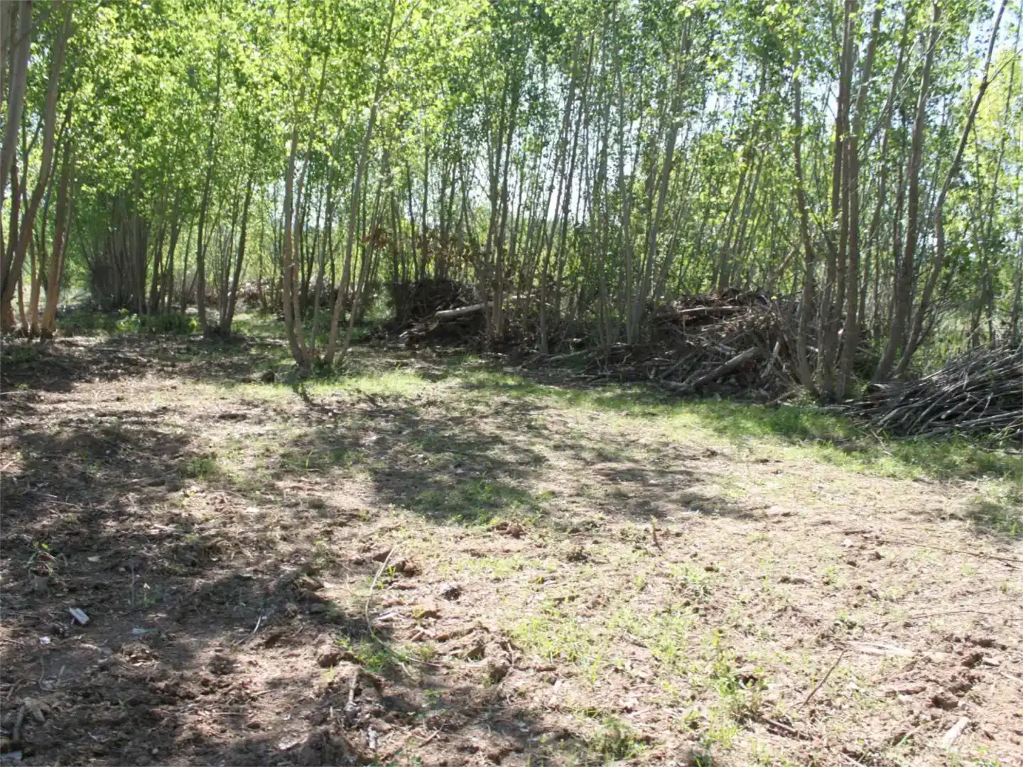 Terreno en venta en Castellote