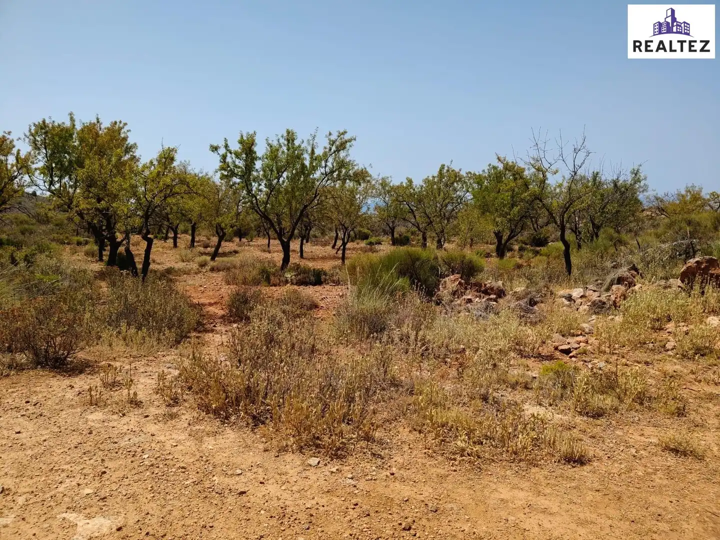 Terrain rustique à vendre à Alcolea, imagen 15