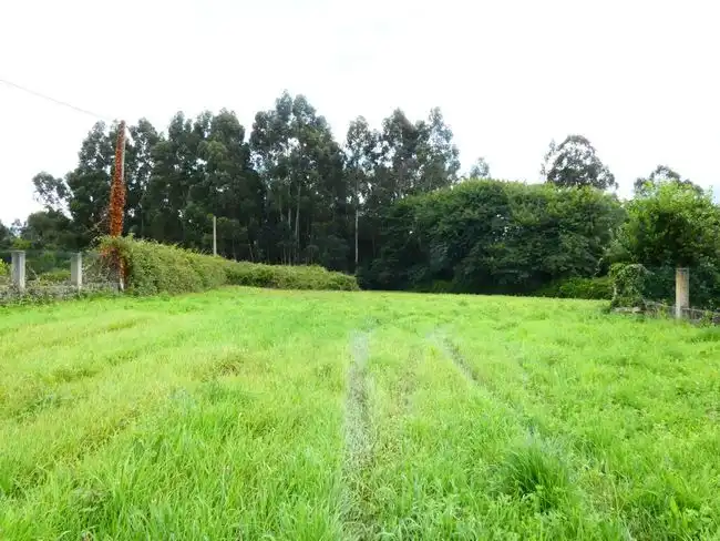SE VENDEN DOS FINCAS EN OLEIROS CENTRO, UNA URBANIZABLE Y OTRA RUSTICA., imatge 2