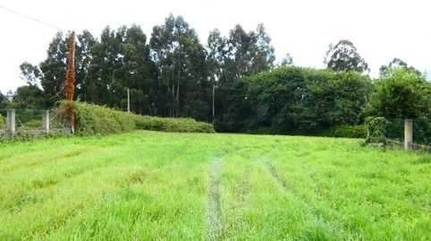 SE VENDEN DOS FINCAS EN OLEIROS CENTRO, UNA URBANIZABLE Y OTRA RUSTICA., imatge 2