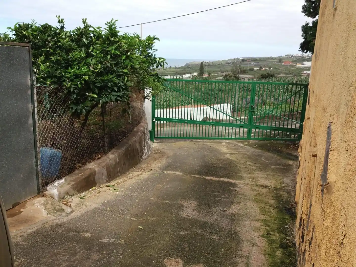 Vista exterior de Terreny en venda en Buenavista del Norte