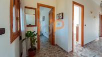 Casa o xalet en venda en Níjar amb Terrassa i Traster