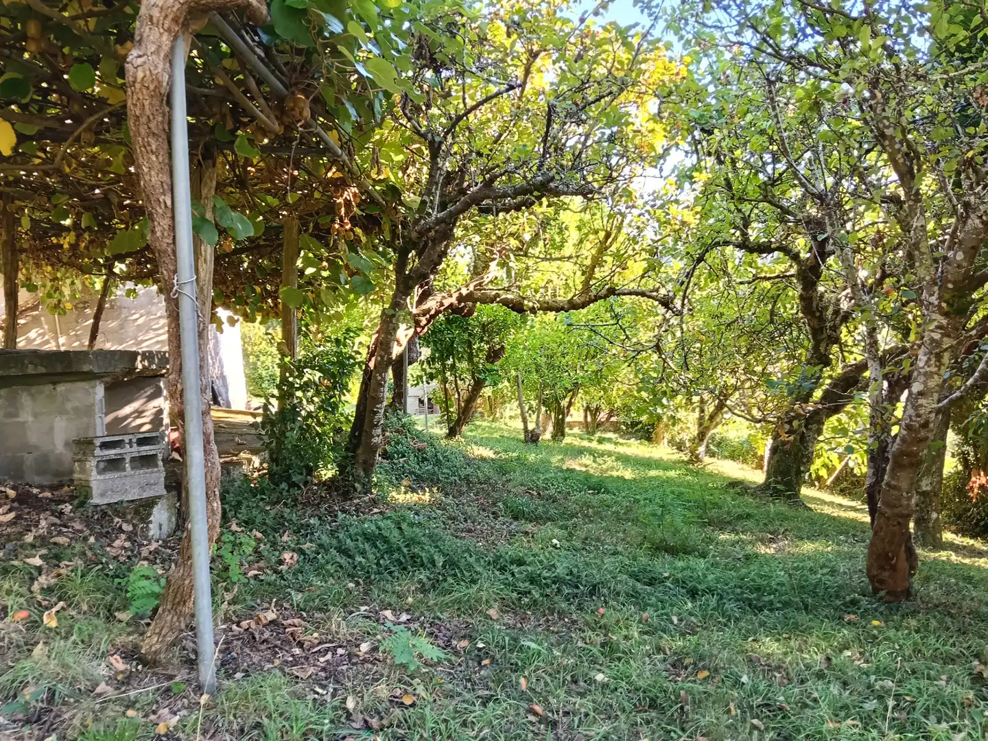 Casa amb jardí en venda a Oza dos Ríos, imagen 13