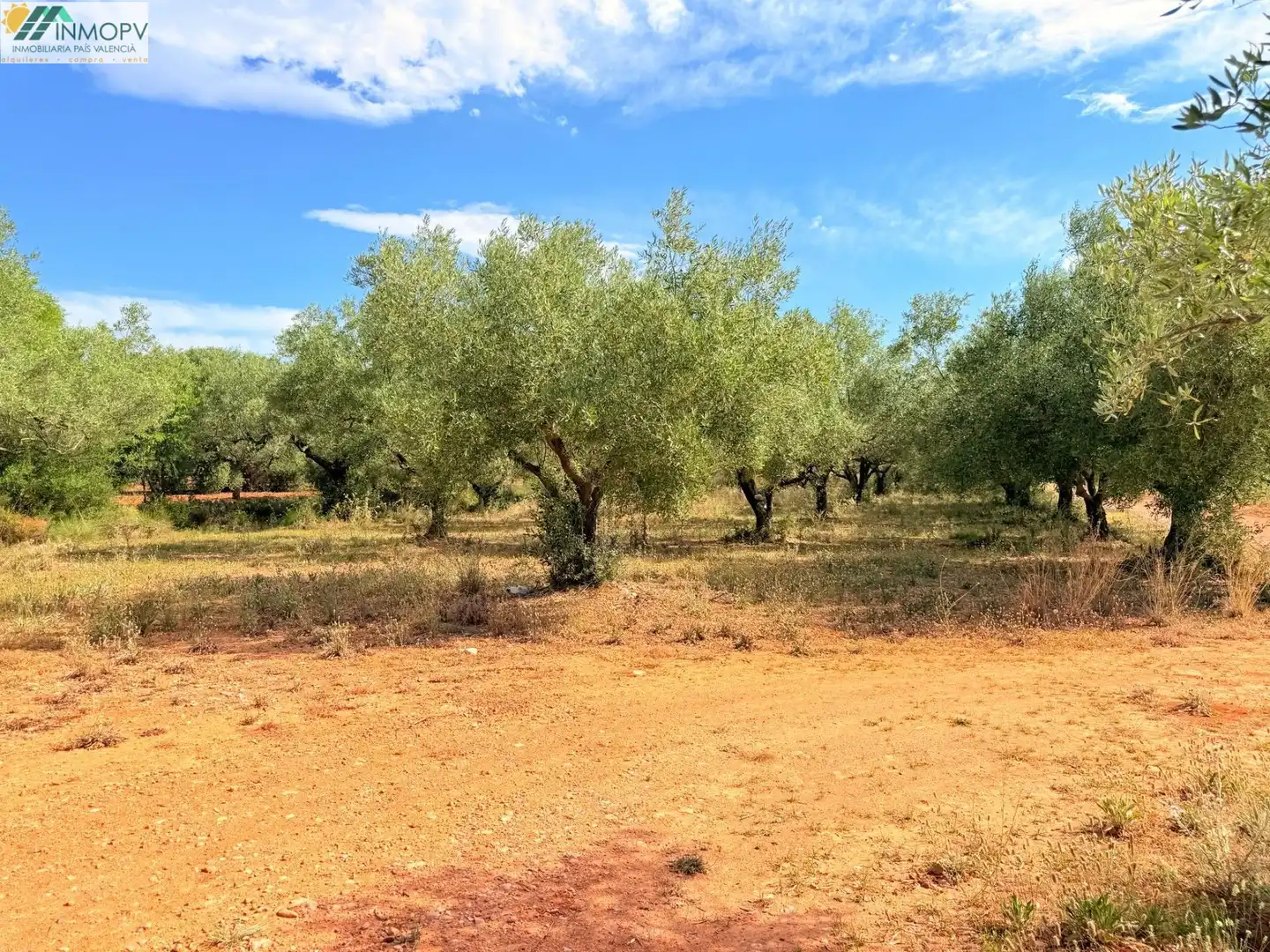 Terreny rústic en venda a Las Atalayas - Urmi - Cerro de Mar, imagen 18