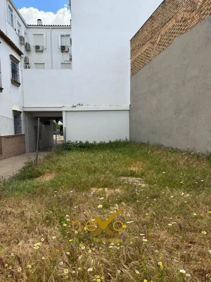 Terreni e lotti in vendita a Carmona, imagen 2