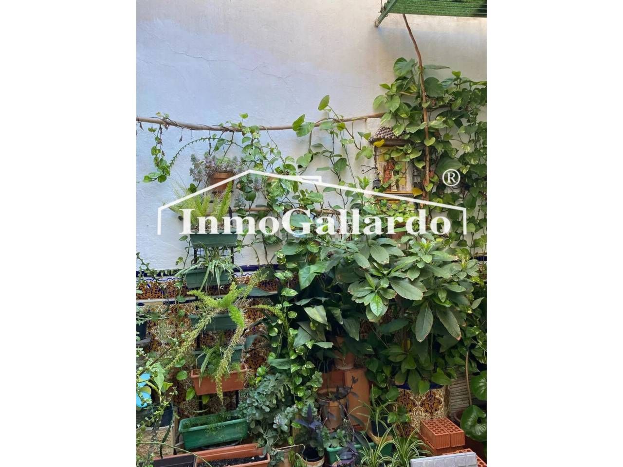 Jardí de Casa adosada en venda en Málaga Capital amb Aire condicionat i Terrassa