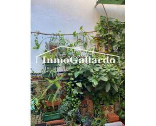 Garden of Single-family semi-detached for sale in Málaga Capital  with Air Conditioner and Terrace