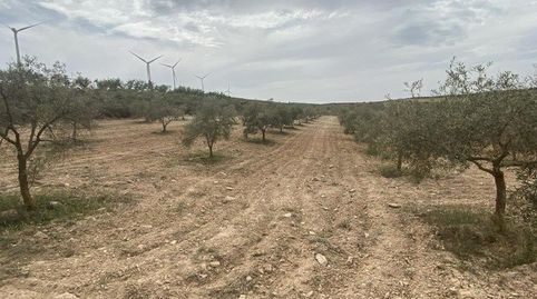 FINCA RÚSTICA EN PADUL, immagine 5