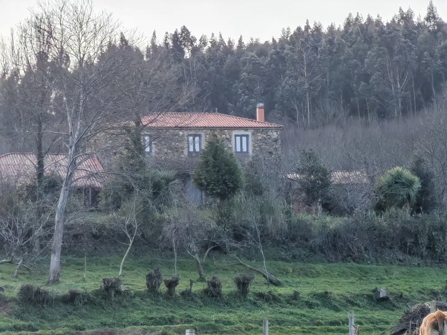 Vista exterior de Casa o chalet en venta en Santiso con Jardín privado, Trastero y Horno