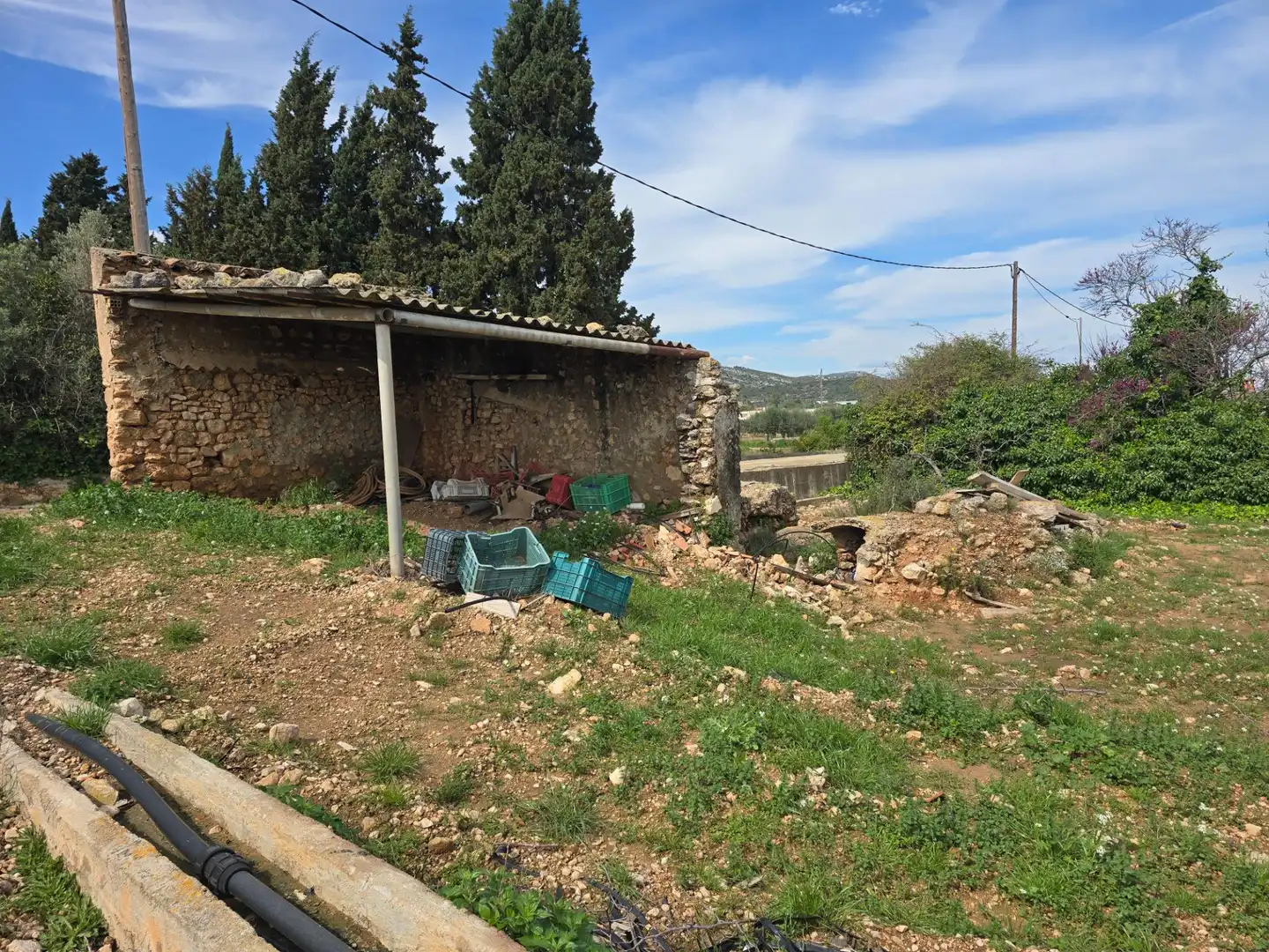 Terreno rústico en venta en Eucaliptus- Poble Nou del Delta, imagen 9