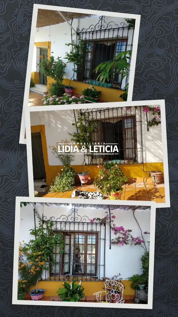 Casa amb piscina en venda a Oromana, imagen 8