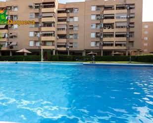 Swimming pool of Attic for sale in  Granada Capital  with Heating, Private garden and Terrace
