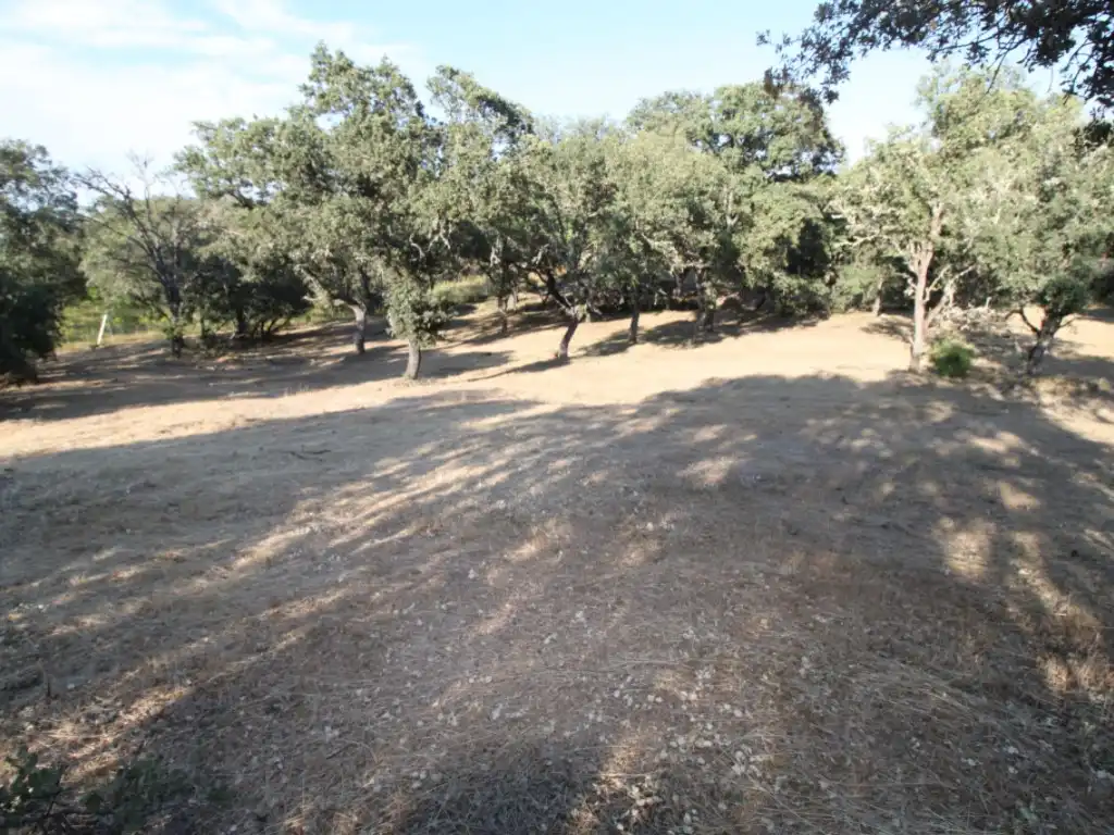 Residential land for sale in Ciudalcampo, imagen 7