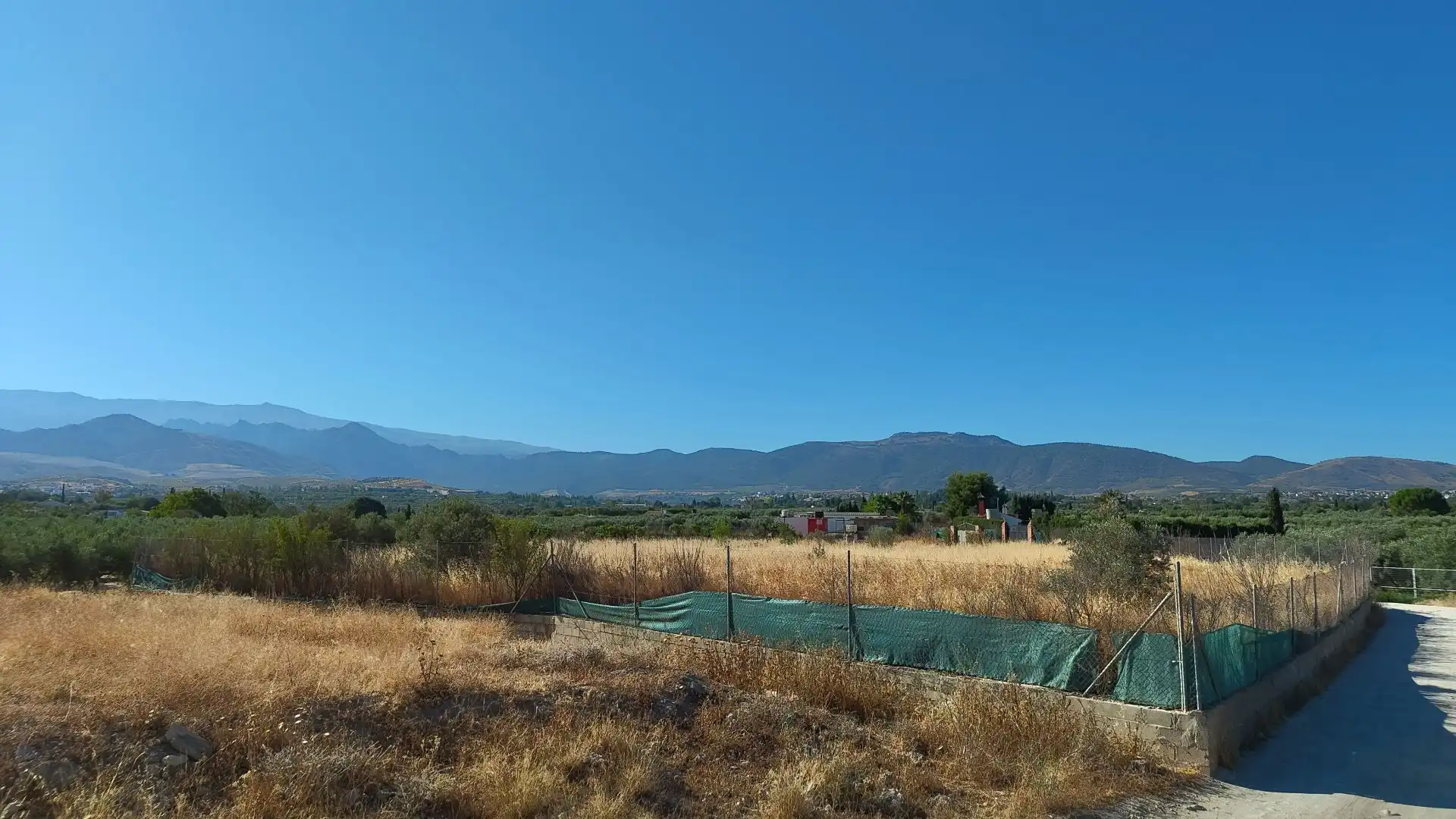 Terreno rustico in vendita a Aljancira