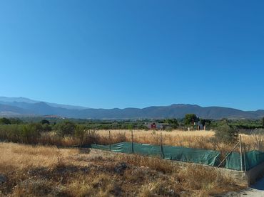 Terreno rustico in vendita a Aljancira