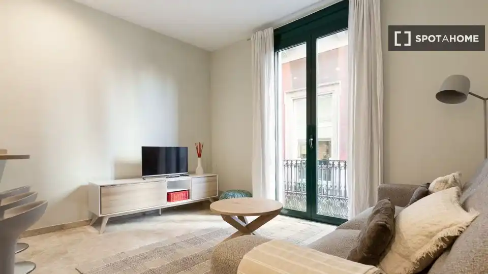 Flat with terrace to rent in Ciutat Vella