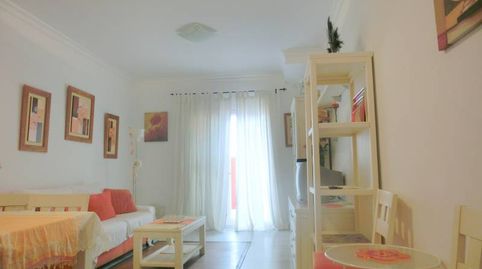 Foto 3 de Piso de alquiler en El Pino - Bajo de Guía, Sanlúcar de Barrameda