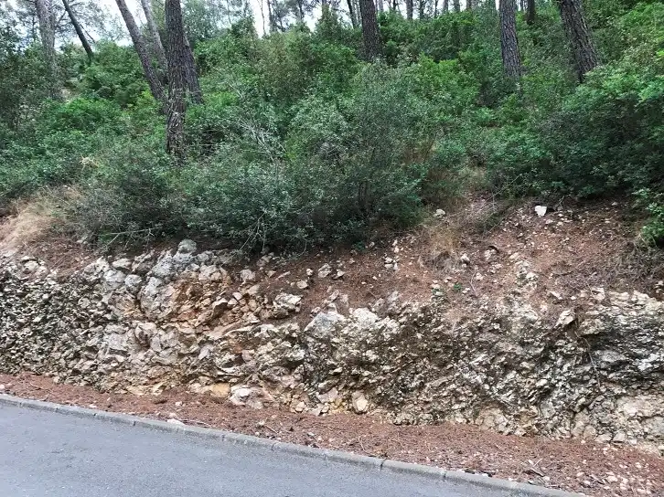 Terrain rustique à vendre à C/ Sorolla, imagen 9