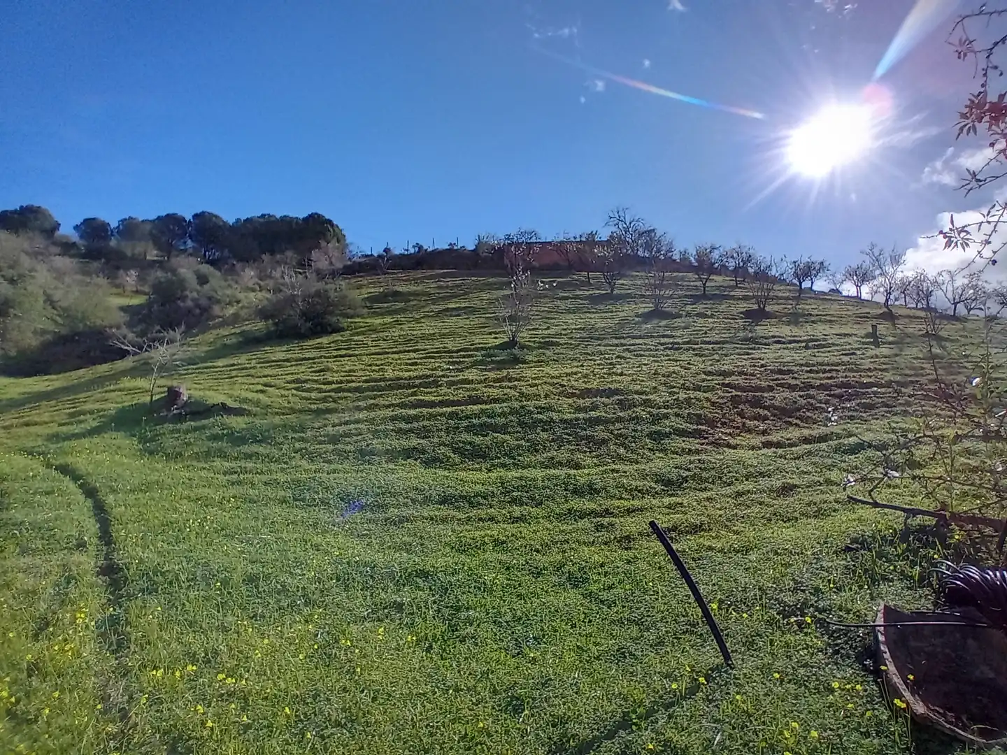 Casa rústica amb jardí en venda a Alozaina, imagen 20