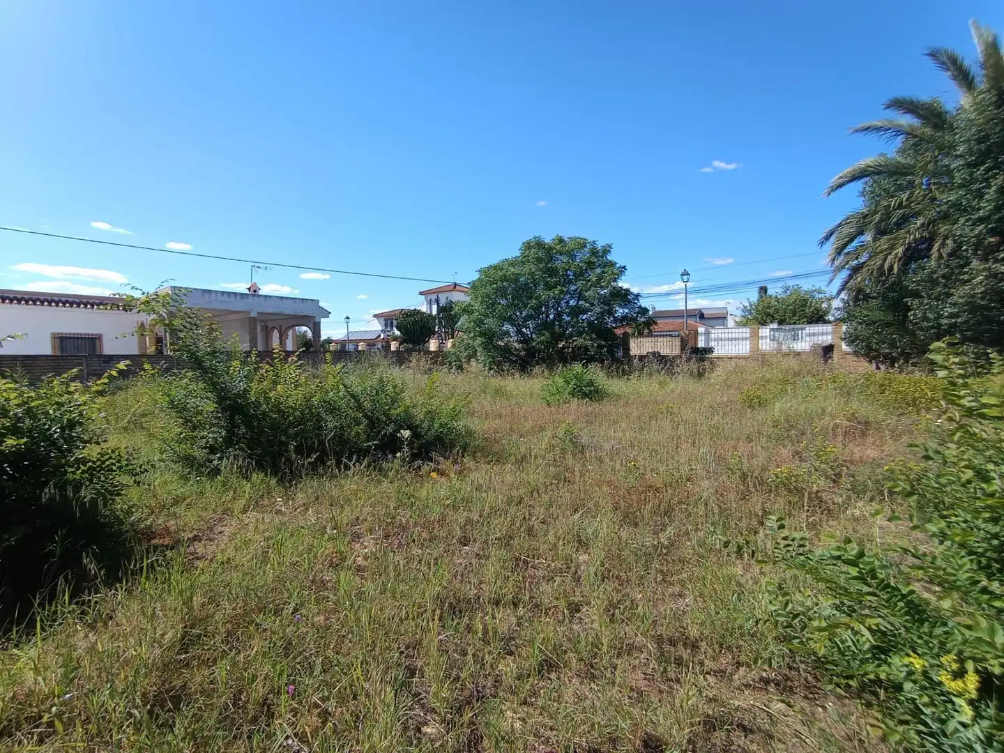 Terreni e lotti in vendita a Palomares del Río, imagen 2