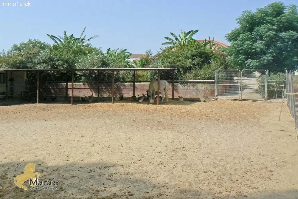 Residential land for sale in La Puebla del Río, imagen 5