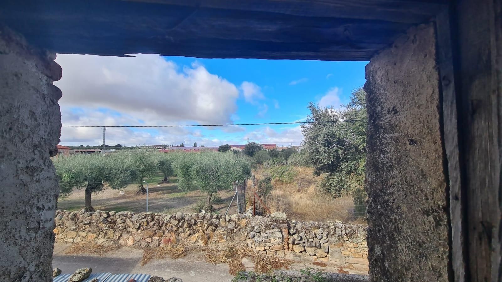 House or chalet for sale in Albalá