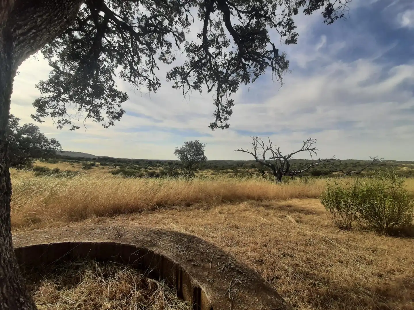 Casa o xalet en venda en Cáceres amb Calefacció, Jardí privat i Terrassa