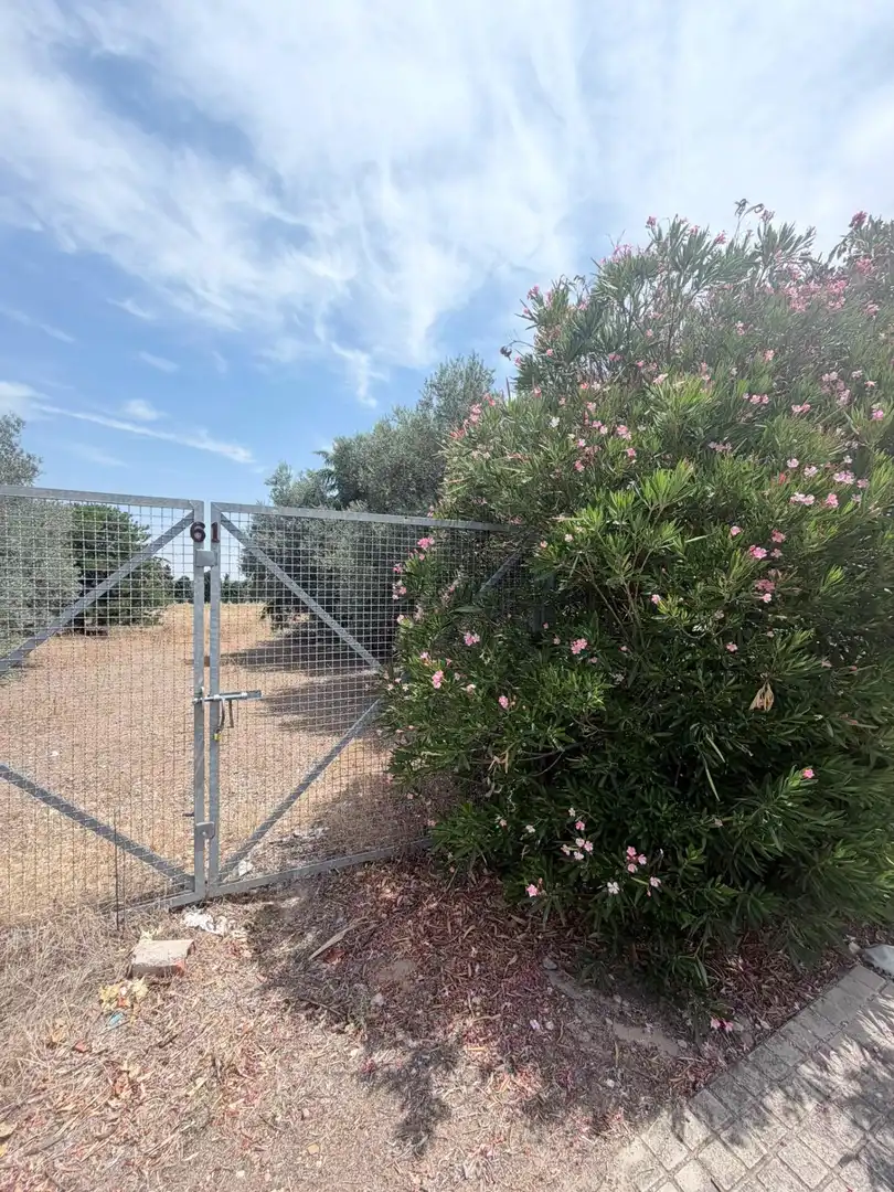 Residential land for sale in Novés, imagen 3