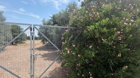 TERRENO URBANO EN TORRIJOS GOLF, immagine 3