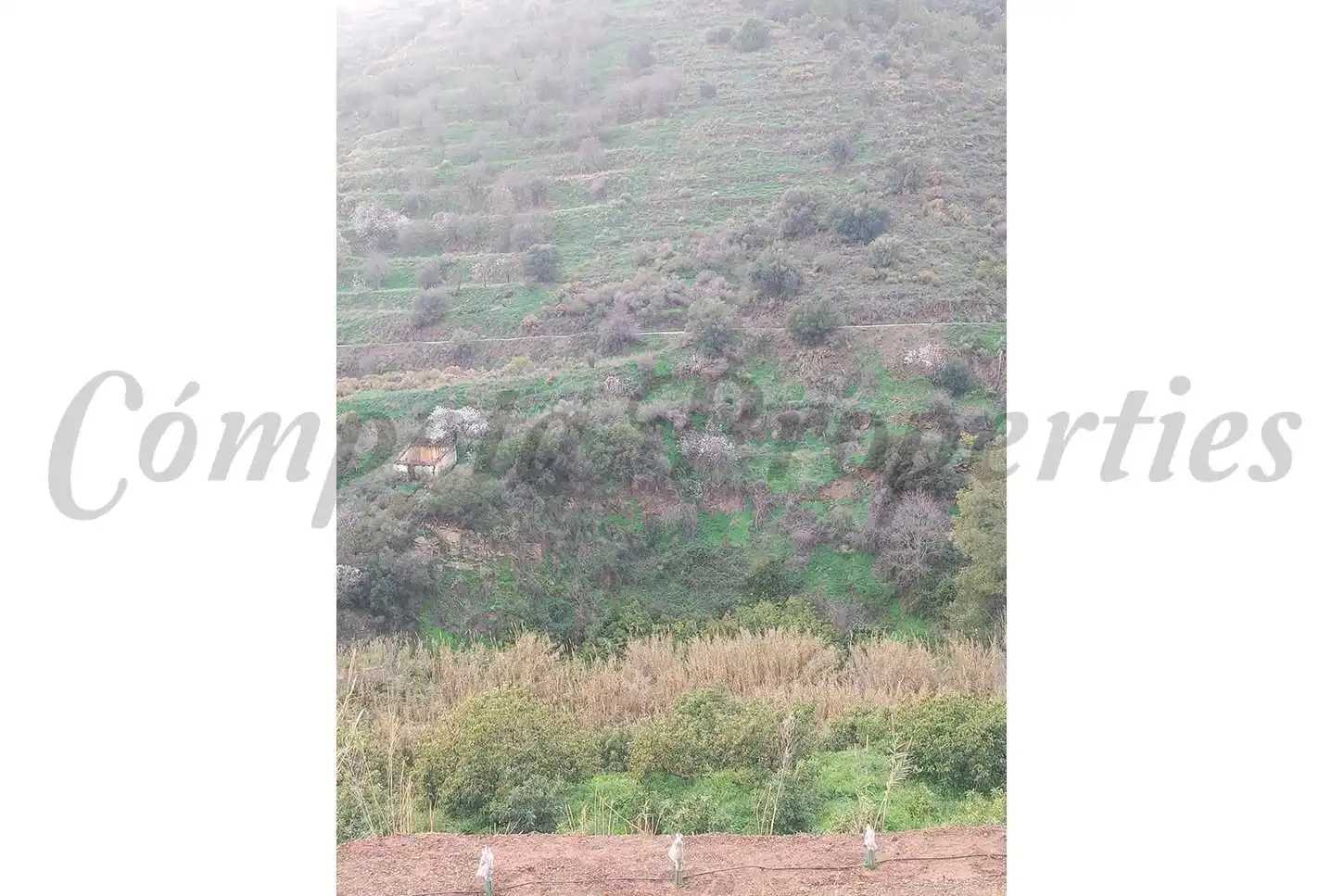 Rustikales Grundstück zum Verkauf in Torrox Pueblo, imagen 3