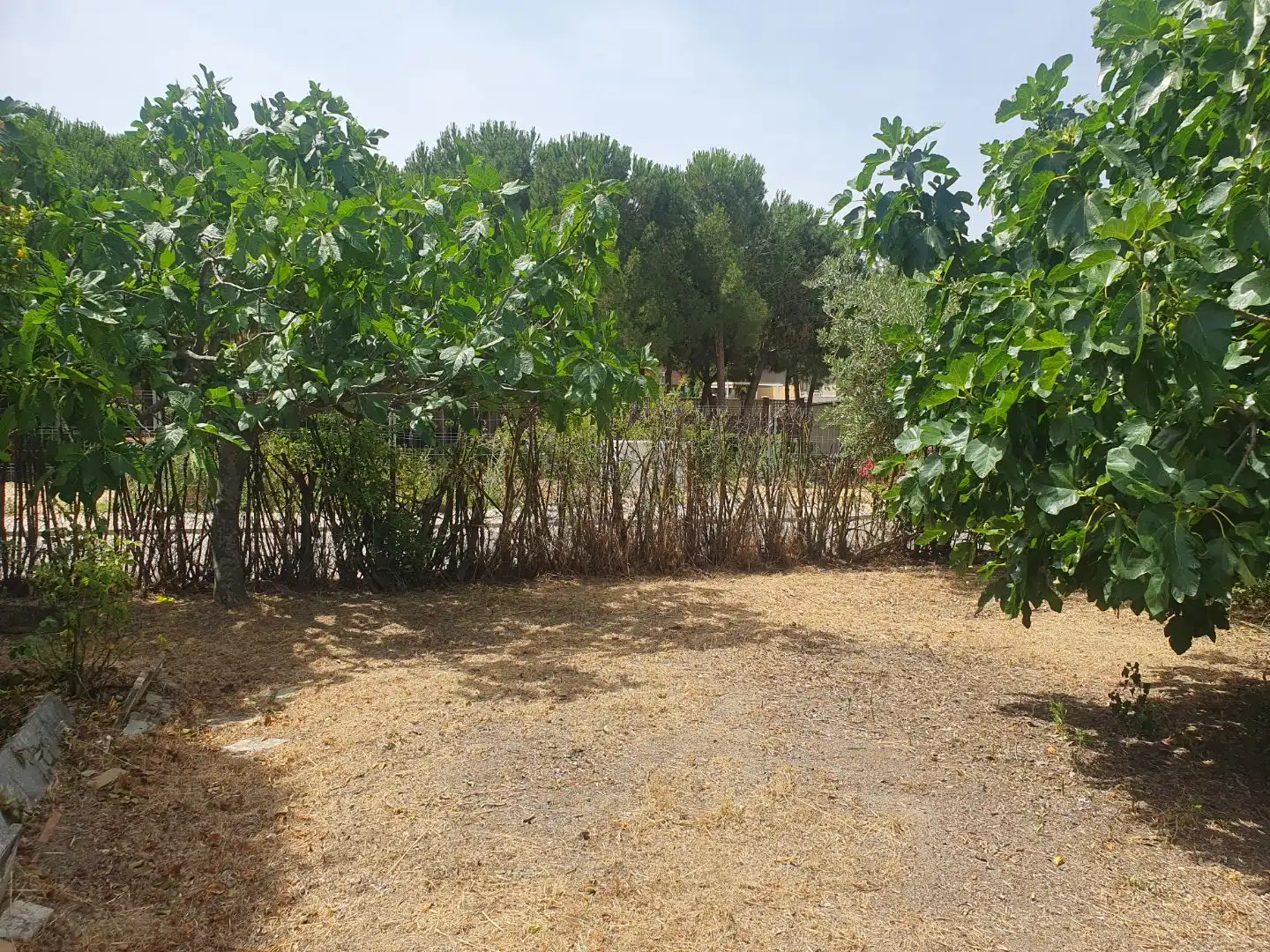 Residencial en venda en Serranillos del Valle