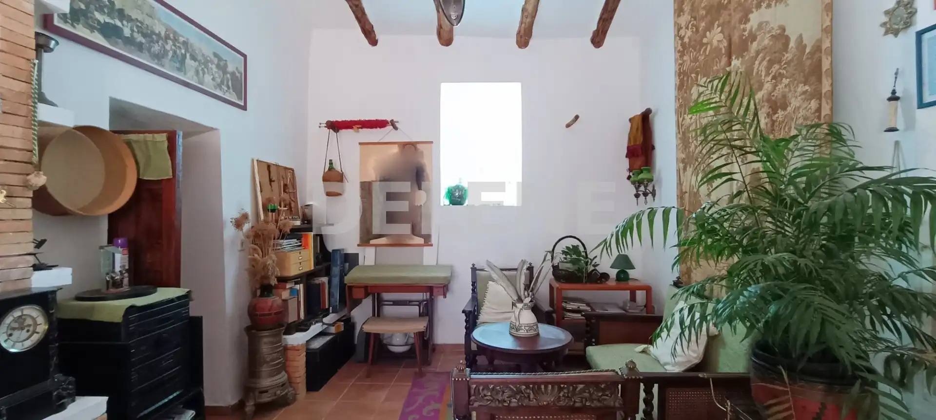 Finca rústica en venta en Pozohondo