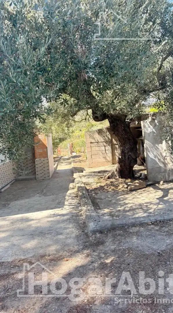 Xalet en venda a Partida BOVALAR Polígono 14 Parcela 442, imagen 22