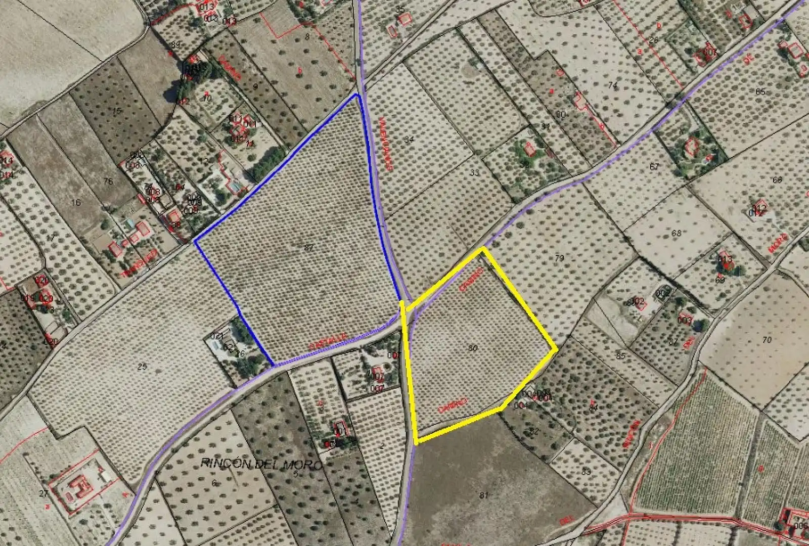 Rural land for sale in Sax, imagen 3