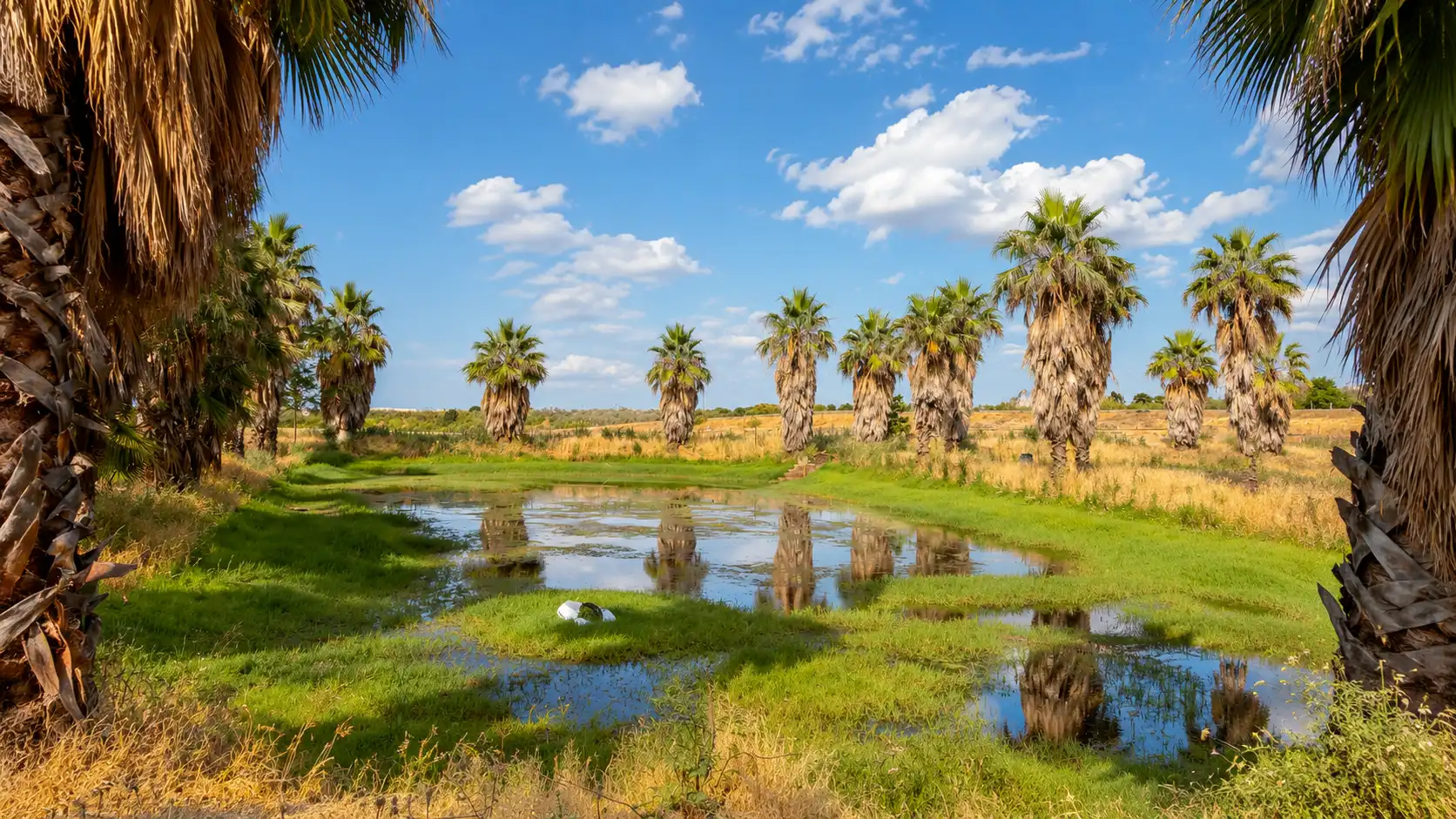Terreno en venta en Polígono Torremolinero poligono, Ruta de la Plata