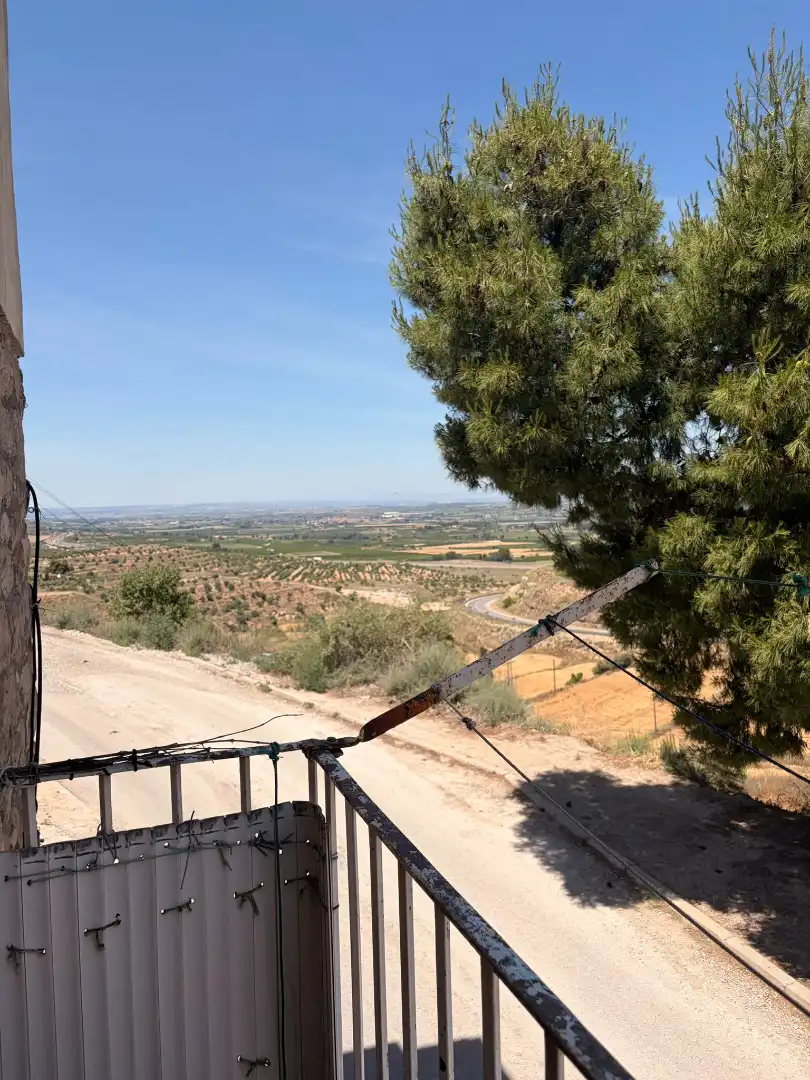 Vista exterior de Casa o chalet en venta en Castelldans con Calefacción, Amueblado y Balcón