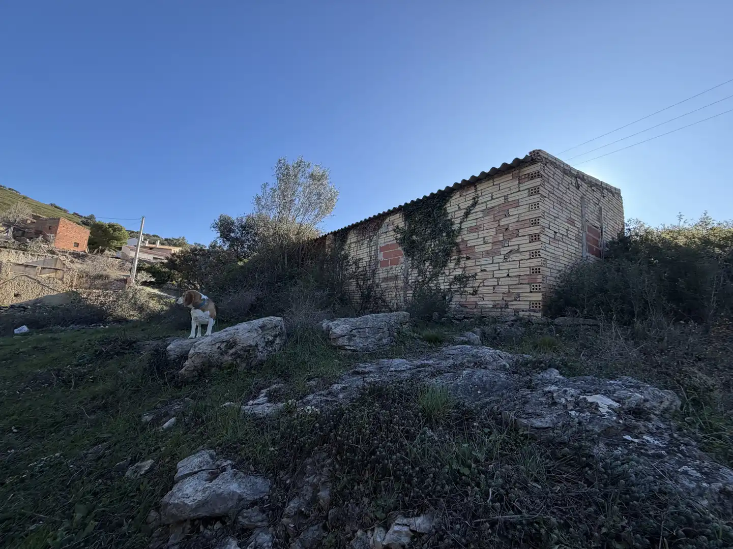 Vista exterior de Edificio en venta en Vilar de Canes