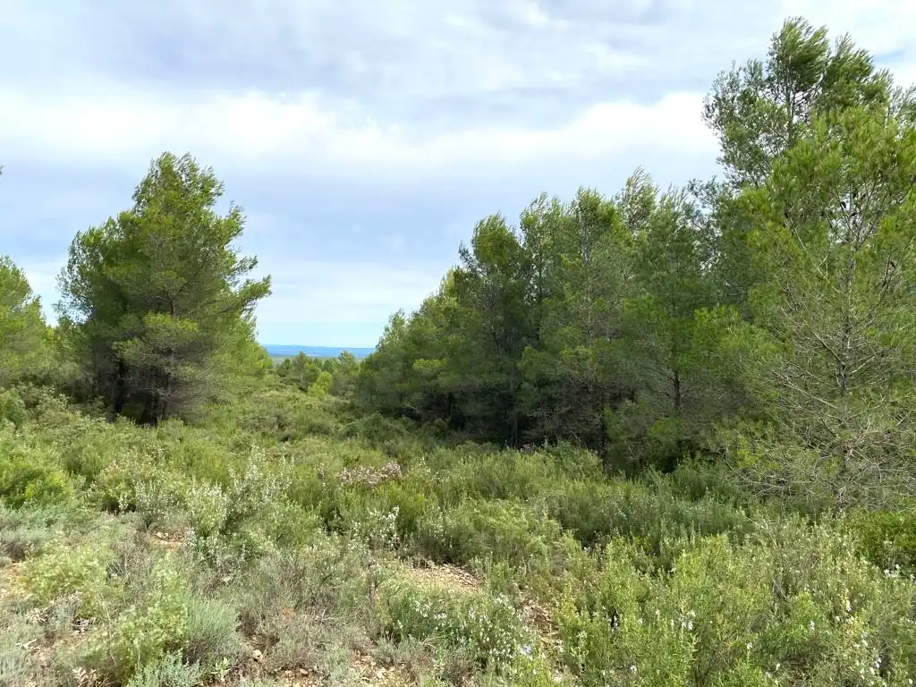 Terreno residencial en venta en 7
