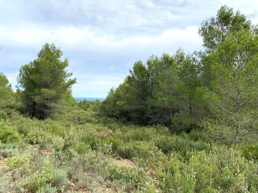 Terreno residencial en venta en 7