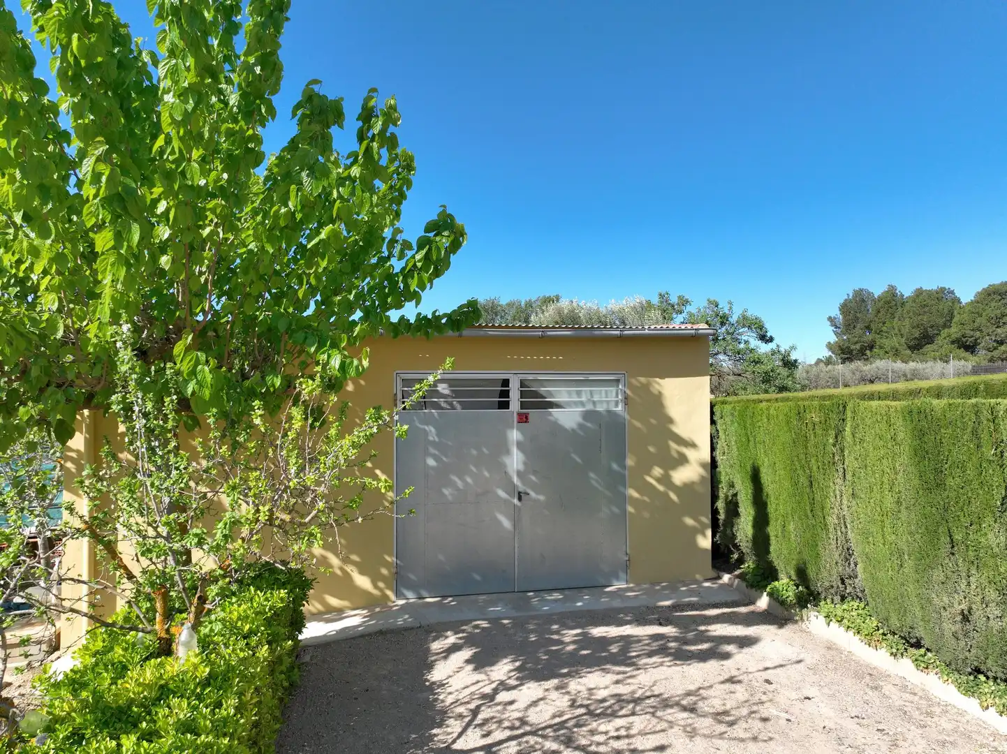 Jardí de Casa o xalet en venda en Caudete amb Terrassa
