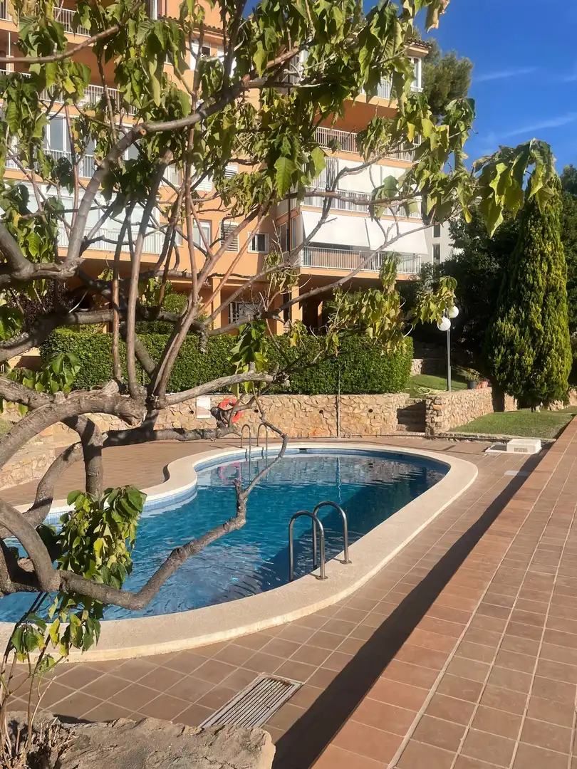Apartment with pool to rent in Playetas, imagen 25