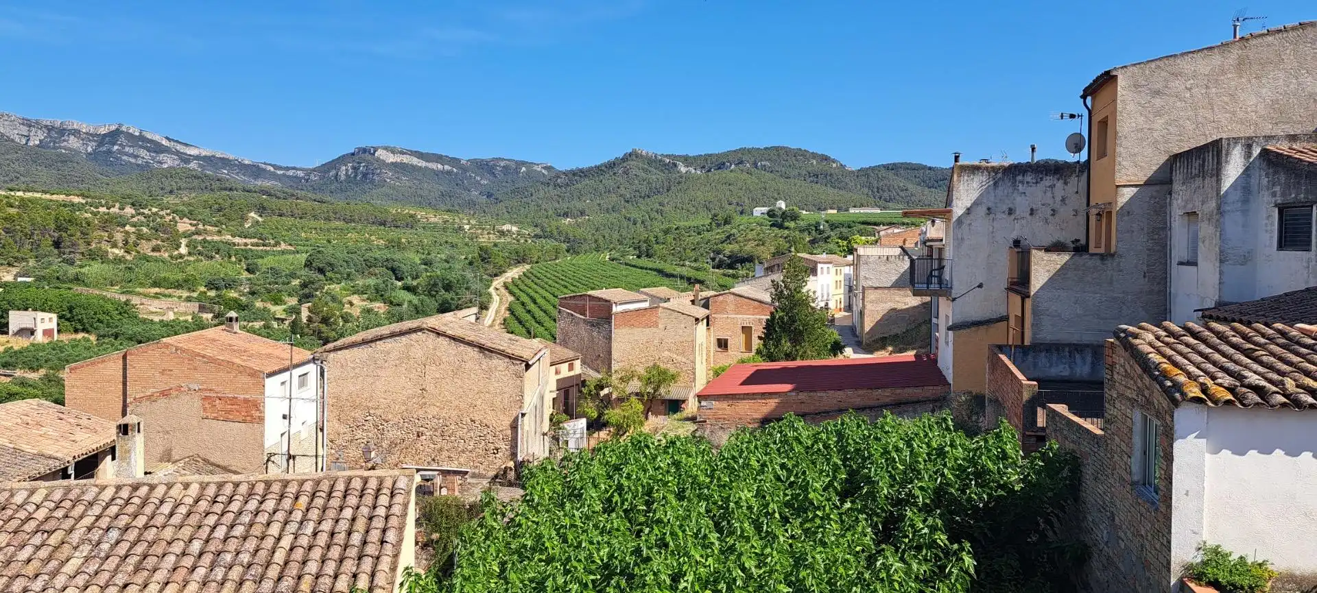 Vista exterior de Casa o chalet en venta en Tivissa con Terraza, Amueblado y Balcón