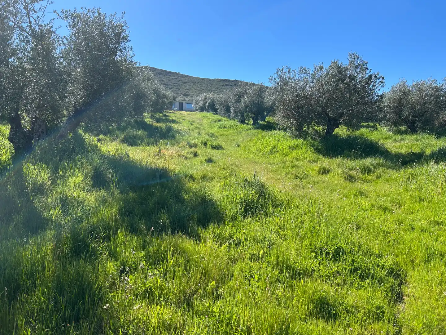 Country homes for sale in Piedrabuena  with Swimming Pool