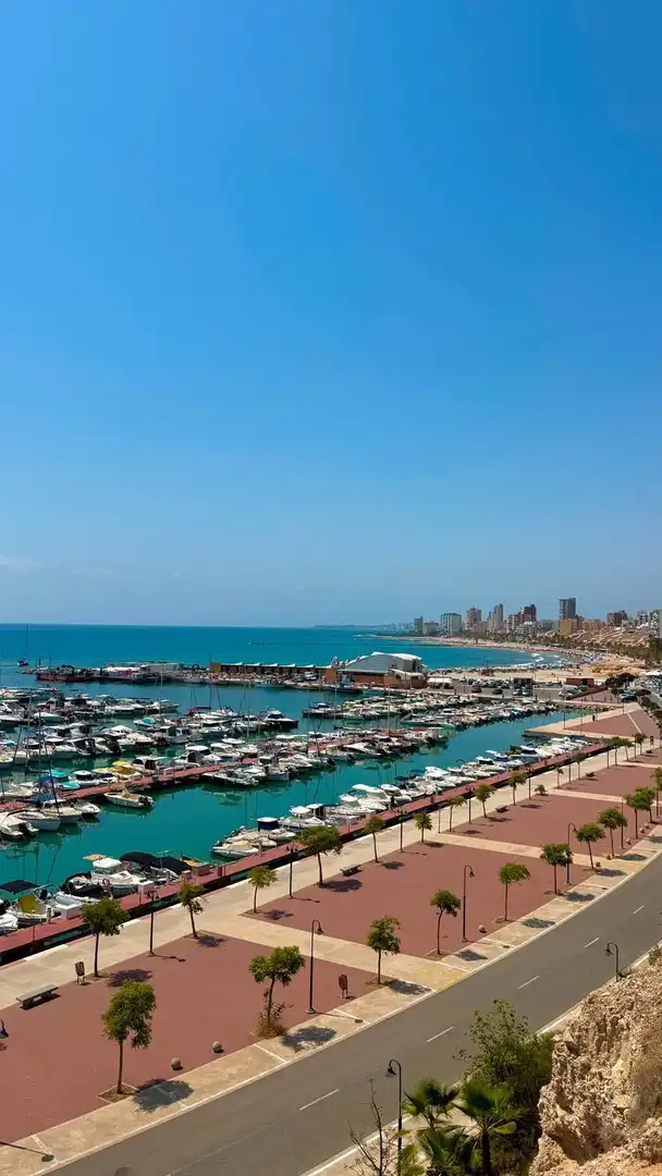 Vista exterior de Casa adosada en venda en El Campello amb Aire condicionat, Jardí privat i Piscina