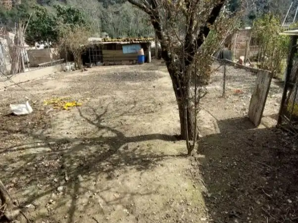 Terreno rustico in vendita a Carrer de les Passadores 11, imagen 3